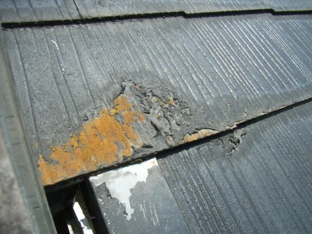 台風被害を受けた屋根の補修及び塗装工事（横浜市港北区）
