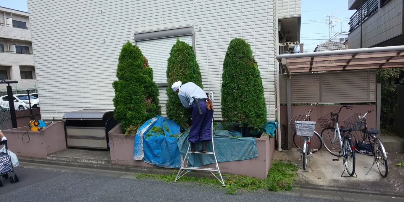 川崎市高津区千年新町にあるアパートの植木剪定工事