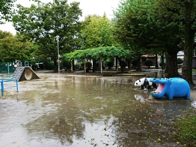 雨の日曜日